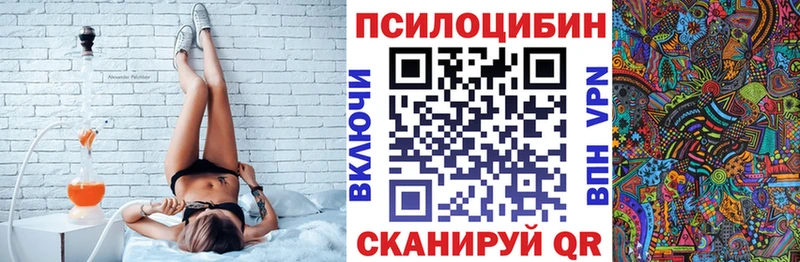 Купить  Красный Сулин  Галлюциногенные грибы Psilocybine cubensis 